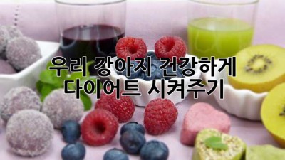 우리 강아지, 건강하게 다이어트 시켜주기🐶