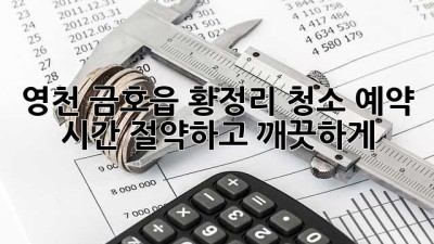 영천 금호읍 황정리 청소 예약, 시간 절약하고 깨끗하게! ✨